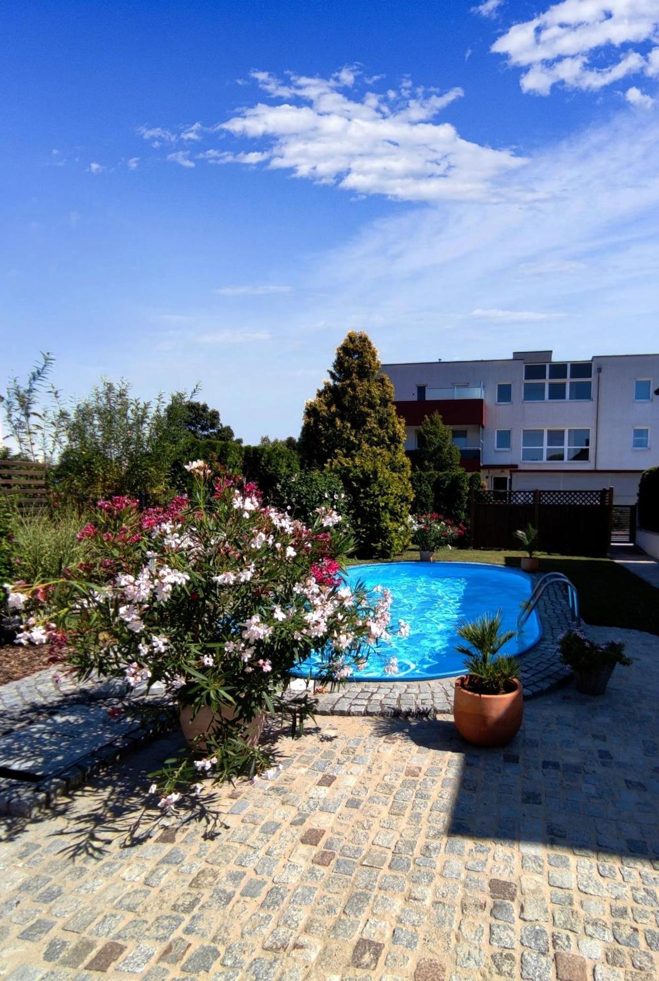 Appartement/Ferienhaus Sonnenhain Sollenau Exterior foto